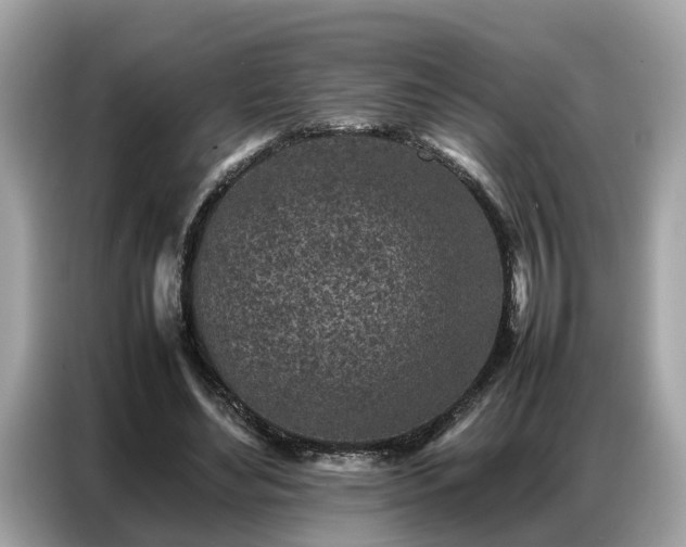 X0000087360492200704271440
