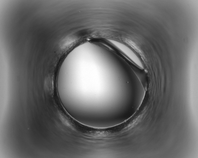 X0000087360493200704271440
