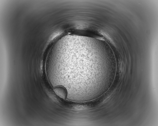 X0000087360494200704271440