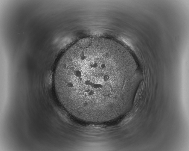 X0000087360495200704271440