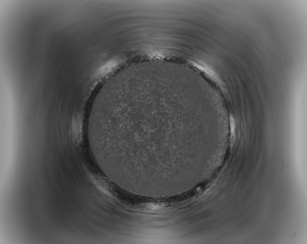X0000087360496200704271440