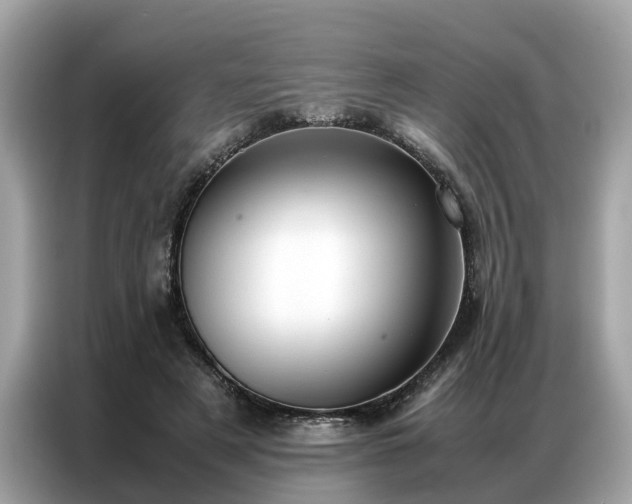 X0000087360497200704271440
