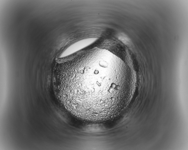 X0000087360499200704271440