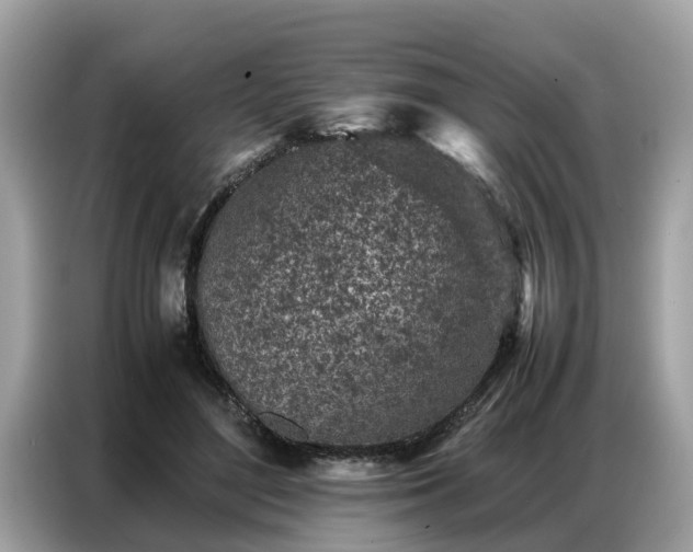 X0000087360500200704271440