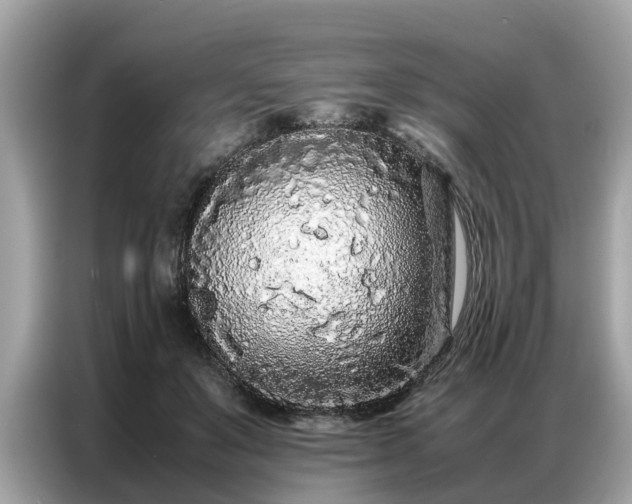 X0000087360503200704271439