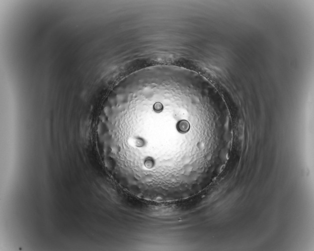 X0000087360511200704271439