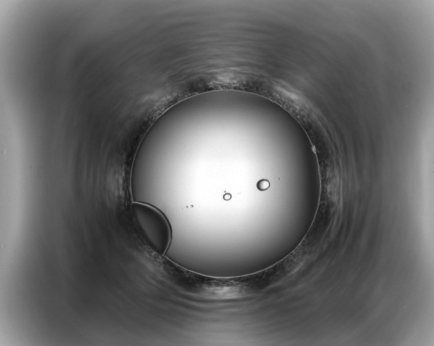X0000087360514200704271439