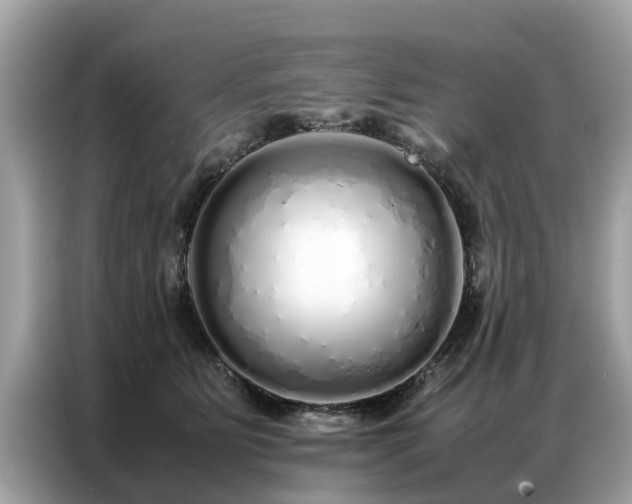 X0000087360515200704271439