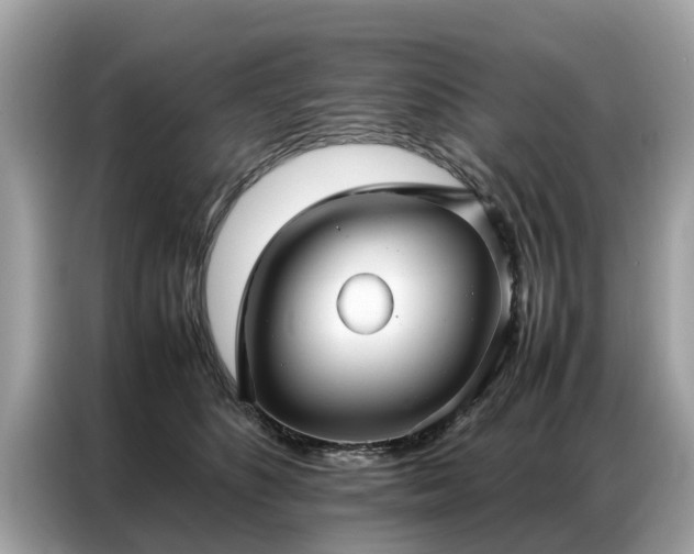X0000087360516200704271439