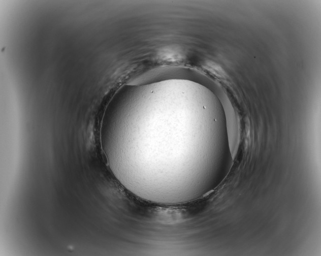 X0000087360520200704271439