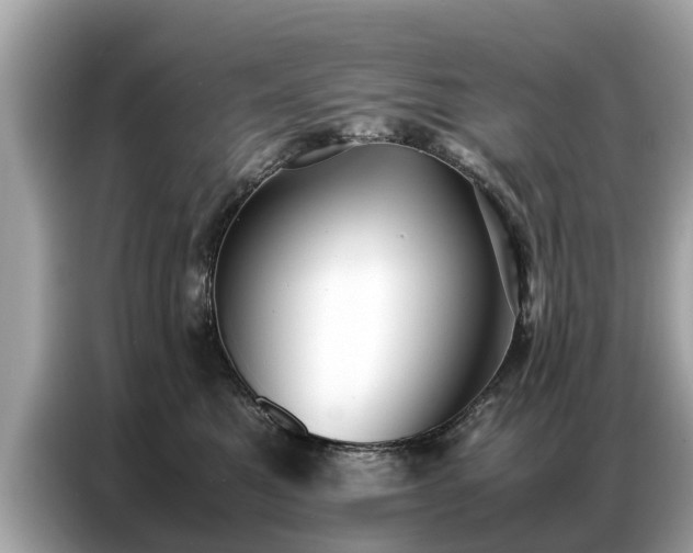 X0000087360521200704271439
