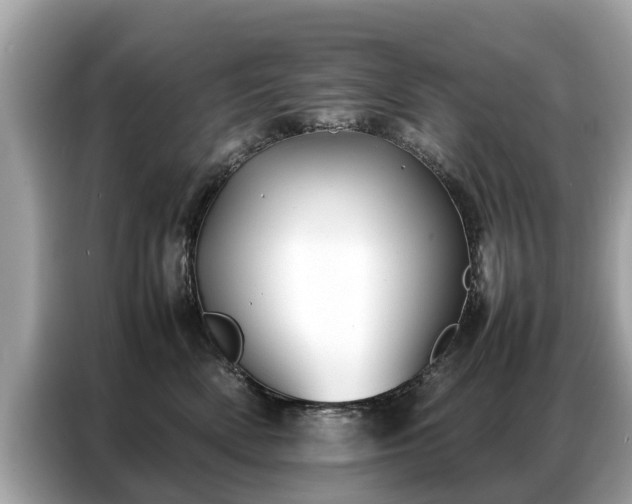 X0000087360522200704271439