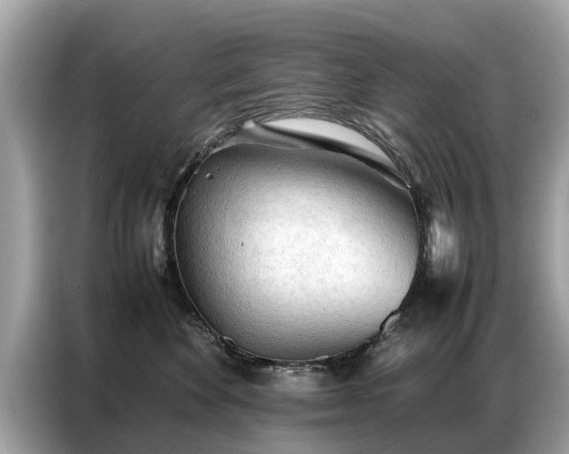 X0000087360524200704271439