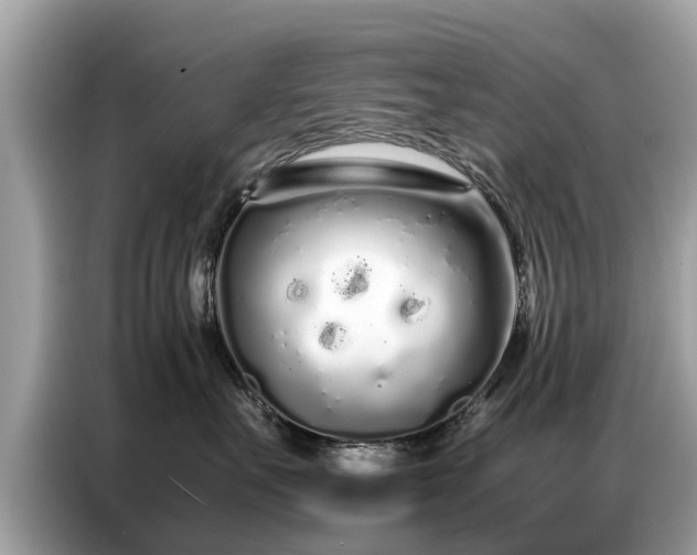 X0000087360527200704271439