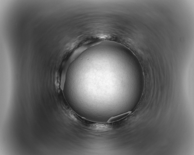X0000087360528200704271439