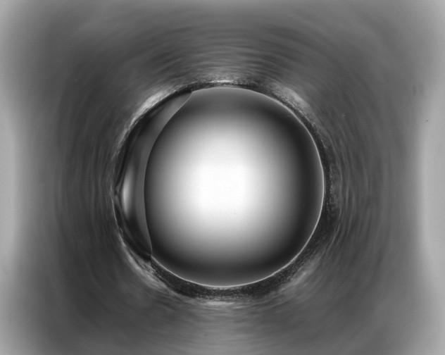 X0000087360530200704271439