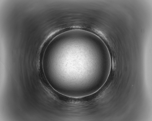 X0000087360531200704271439