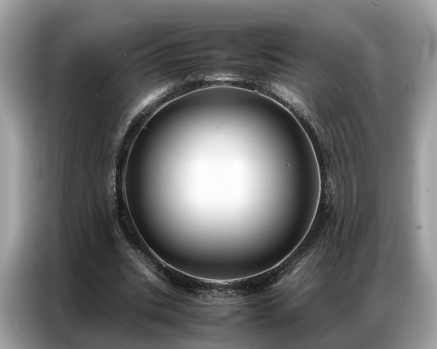 X0000087360535200704271439