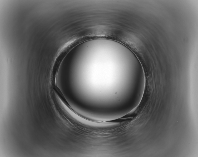 X0000087360536200704271439