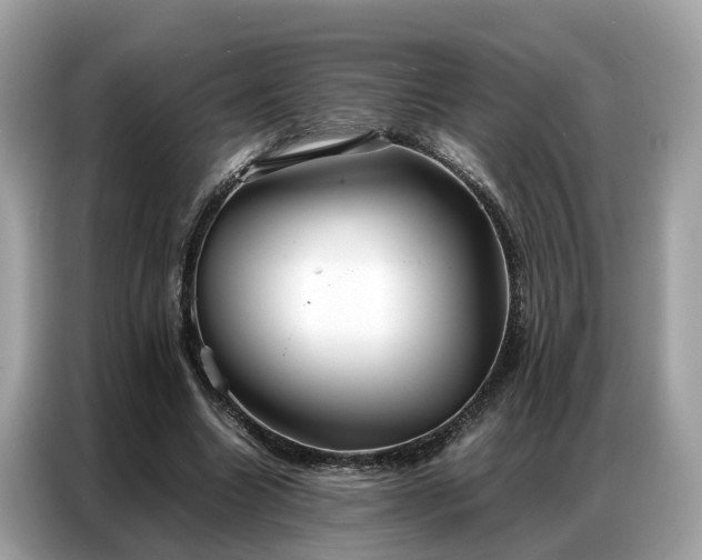 X0000087360538200704271439
