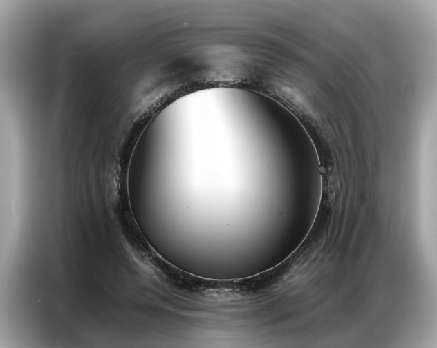 X0000087360544200704271439