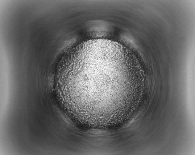 X0000087360545200704271439