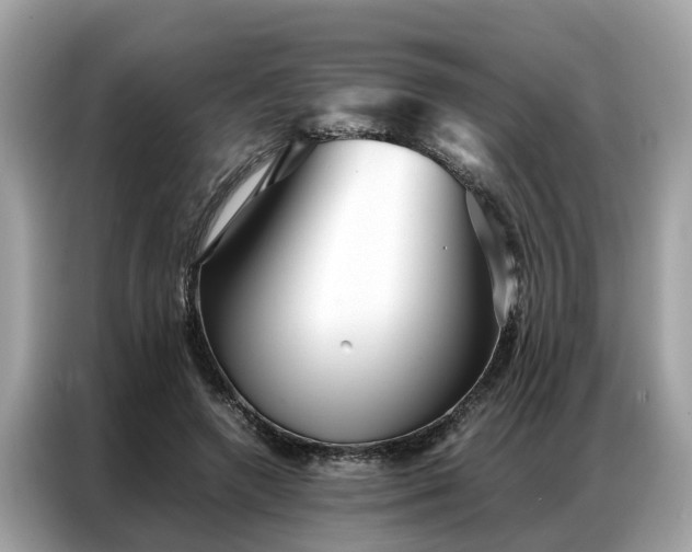 X0000087360546200704271439