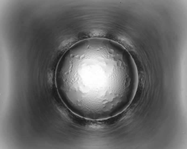 X0000087360550200704271439