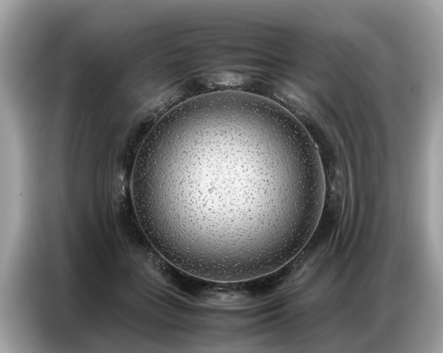 X0000087360555200704271439