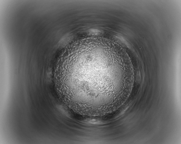 X0000087360557200704271439