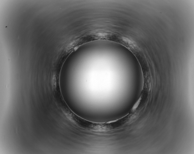 X0000087360562200704271439