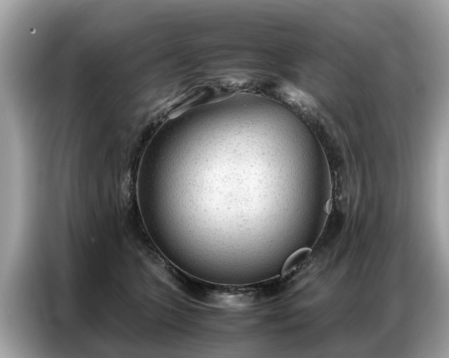 X0000087360563200704271439