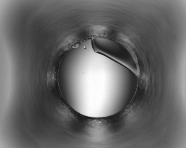 X0000087360566200704271439