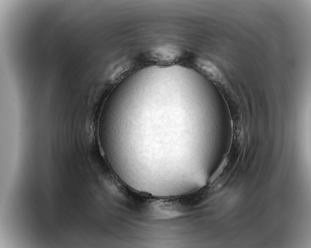 X0000087360568200704271439