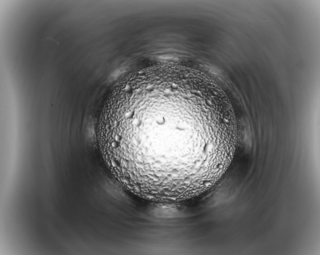 X0000087360573200704271439