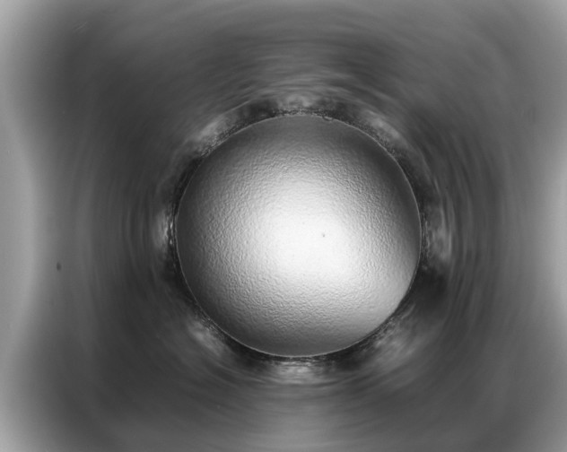 X0000087360574200704271439