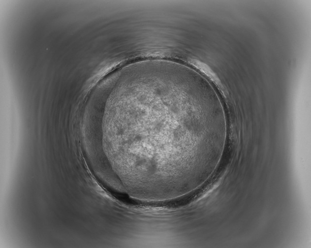 X0000087360577200704271439