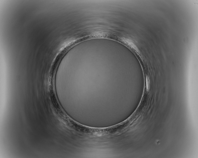 X0000087360579200704271439