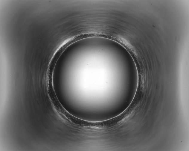 X0000087360580200704271439