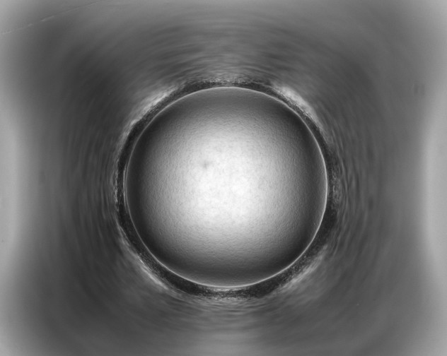 X0000087360581200704271439
