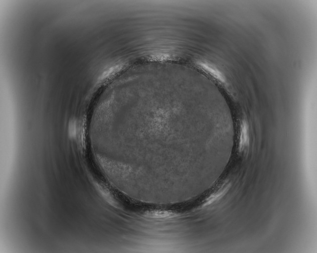 X0000087360590200704271438