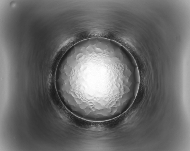 X0000087360591200704271438