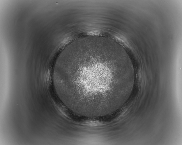 X0000087360598200704271438