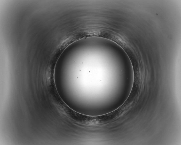 X0000087360600200704271438