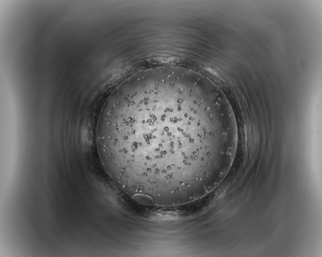 X0000087360606200704271438