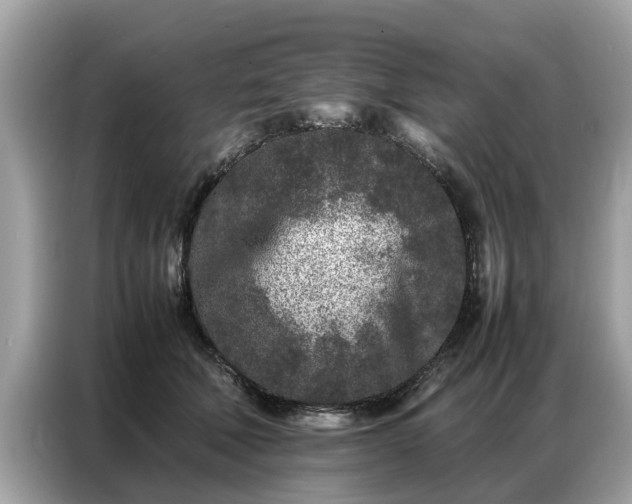 X0000087360610200704271438