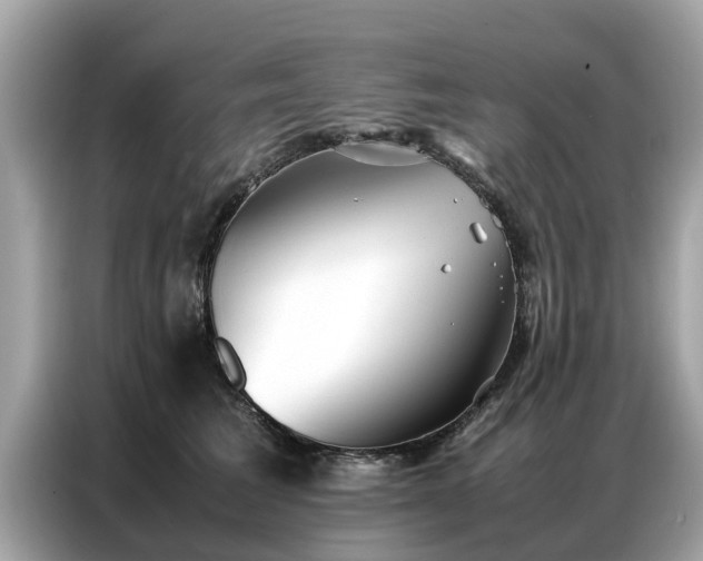 X0000087360613200704271438