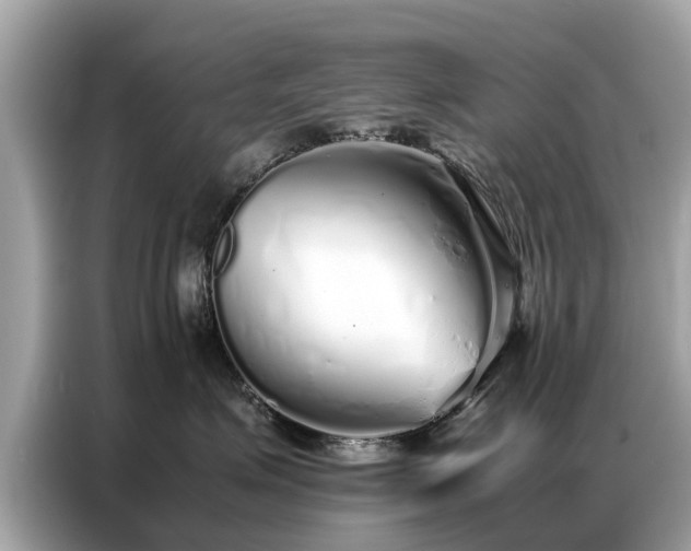 X0000087360623200704271438