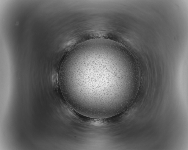 X0000087360624200704271438