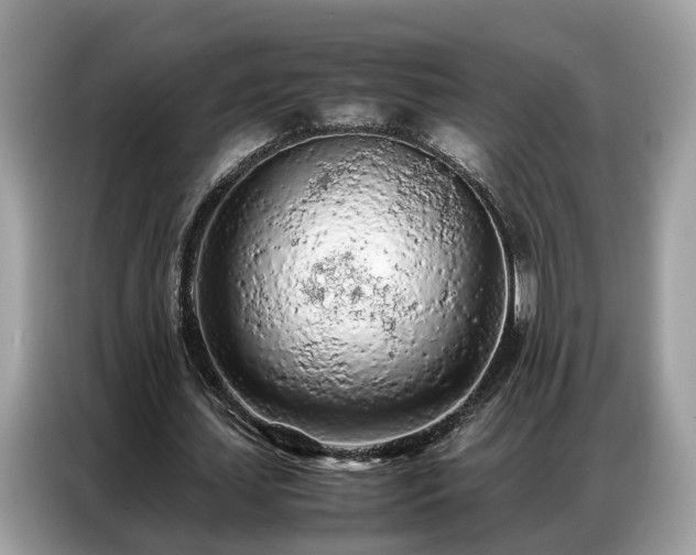 X0000087360627200704271438